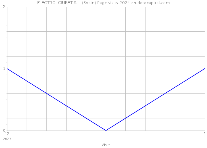 ELECTRO-CIURET S.L. (Spain) Page visits 2024 