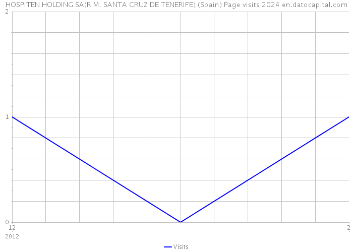 HOSPITEN HOLDING SA(R.M. SANTA CRUZ DE TENERIFE) (Spain) Page visits 2024 