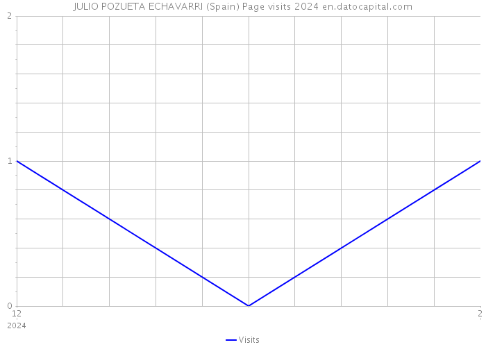 JULIO POZUETA ECHAVARRI (Spain) Page visits 2024 