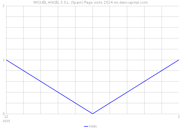 MIGUEL ANGEL 3 S.L. (Spain) Page visits 2024 