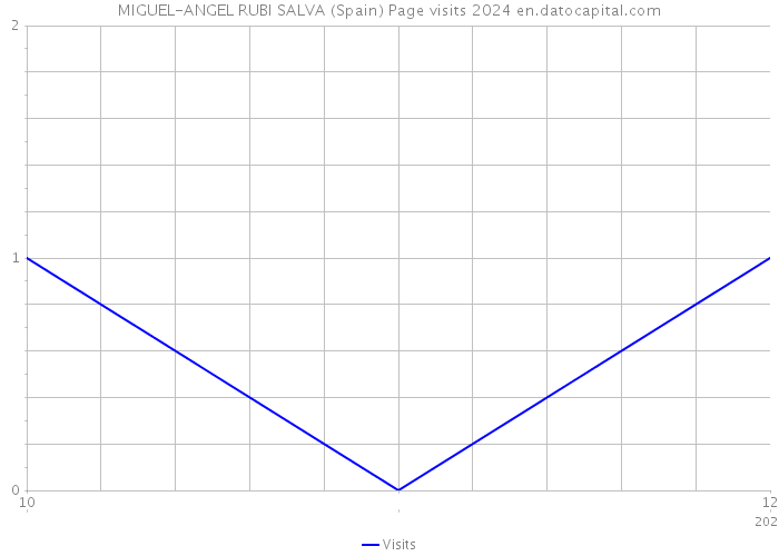 MIGUEL-ANGEL RUBI SALVA (Spain) Page visits 2024 