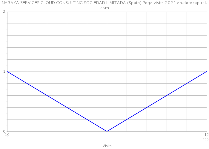 NARAYA SERVICES CLOUD CONSULTING SOCIEDAD LIMITADA (Spain) Page visits 2024 