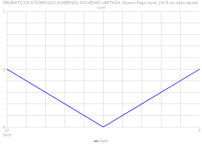 NEUMATICOS A DOMICILIO ALMERISOL SOCIEDAD LIMITADA (Spain) Page visits 2024 