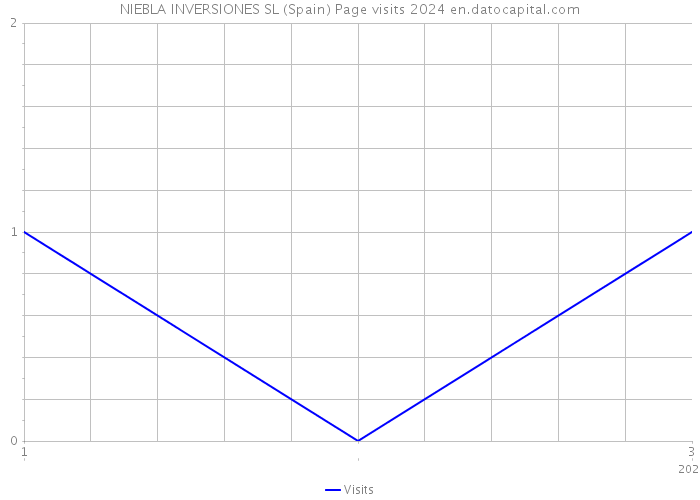 NIEBLA INVERSIONES SL (Spain) Page visits 2024 