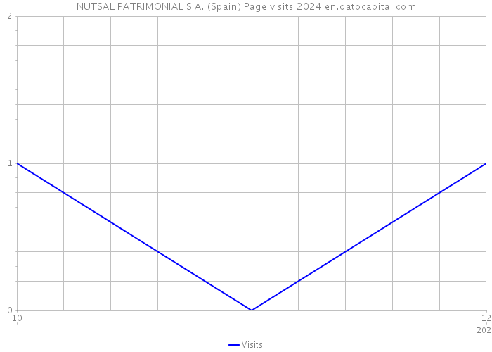 NUTSAL PATRIMONIAL S.A. (Spain) Page visits 2024 