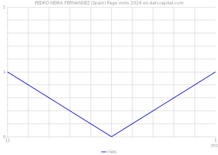 PEDRO NEIRA FERNANDEZ (Spain) Page visits 2024 