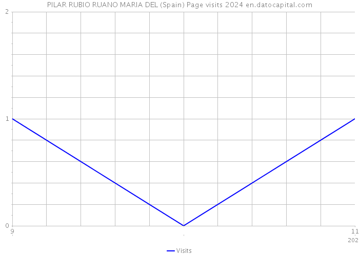 PILAR RUBIO RUANO MARIA DEL (Spain) Page visits 2024 