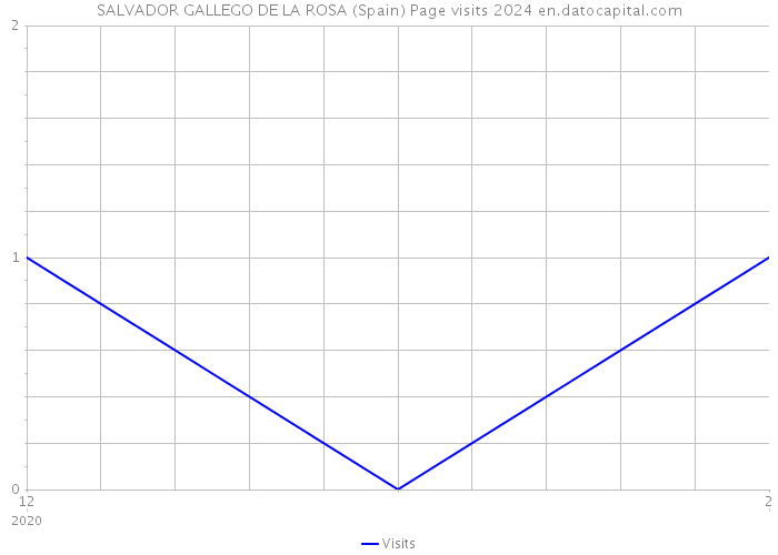 SALVADOR GALLEGO DE LA ROSA (Spain) Page visits 2024 