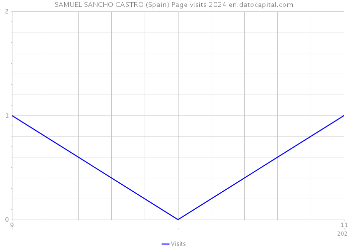 SAMUEL SANCHO CASTRO (Spain) Page visits 2024 