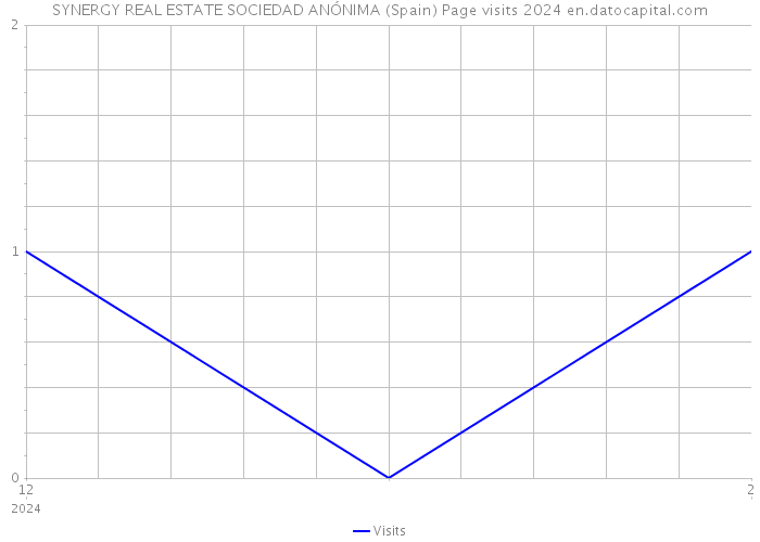 SYNERGY REAL ESTATE SOCIEDAD ANÓNIMA (Spain) Page visits 2024 