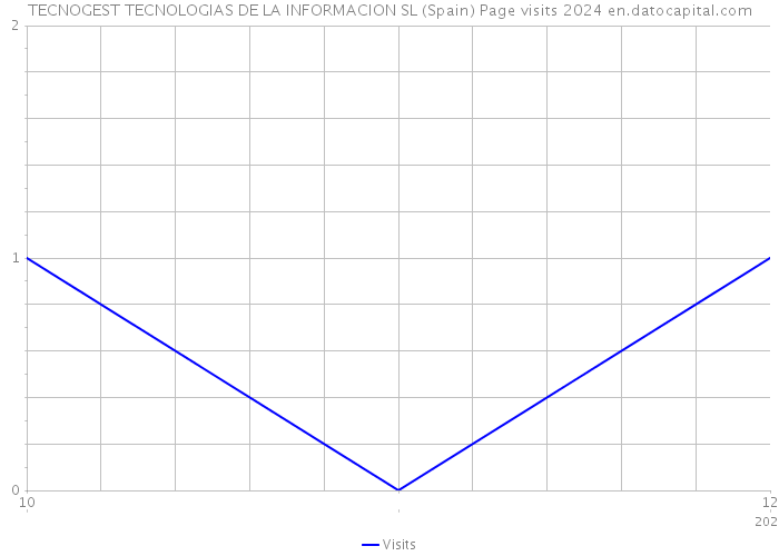 TECNOGEST TECNOLOGIAS DE LA INFORMACION SL (Spain) Page visits 2024 
