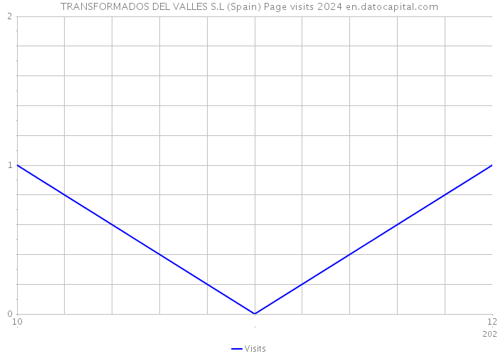 TRANSFORMADOS DEL VALLES S.L (Spain) Page visits 2024 