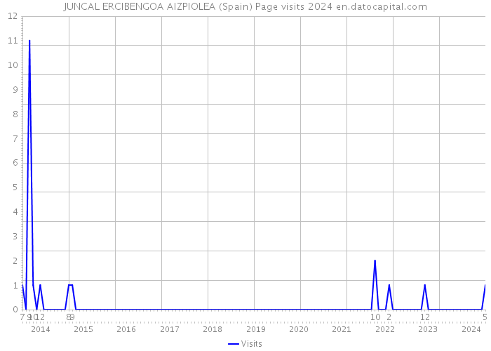 JUNCAL ERCIBENGOA AIZPIOLEA (Spain) Page visits 2024 
