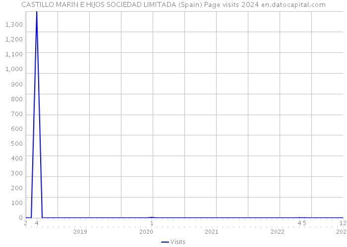 CASTILLO MARIN E HIJOS SOCIEDAD LIMITADA (Spain) Page visits 2024 