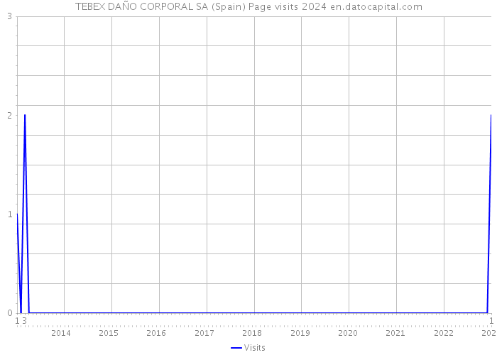 TEBEX DAÑO CORPORAL SA (Spain) Page visits 2024 