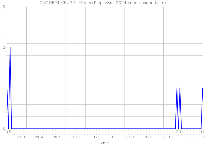 CAT DEPIL GRUP SL (Spain) Page visits 2024 