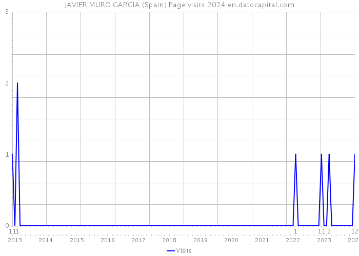 JAVIER MURO GARCIA (Spain) Page visits 2024 