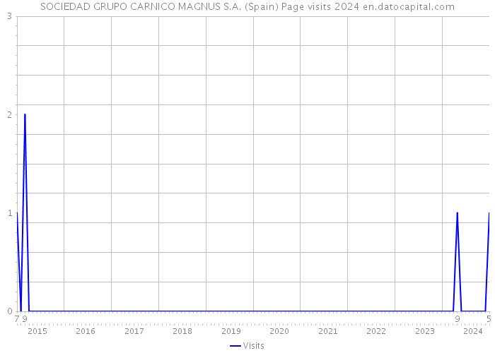 SOCIEDAD GRUPO CARNICO MAGNUS S.A. (Spain) Page visits 2024 