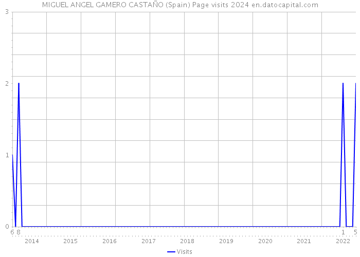 MIGUEL ANGEL GAMERO CASTAÑO (Spain) Page visits 2024 