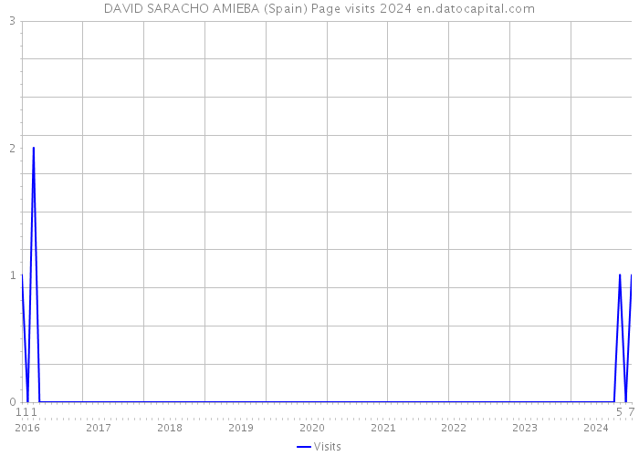 DAVID SARACHO AMIEBA (Spain) Page visits 2024 