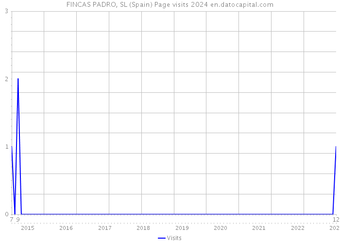 FINCAS PADRO, SL (Spain) Page visits 2024 