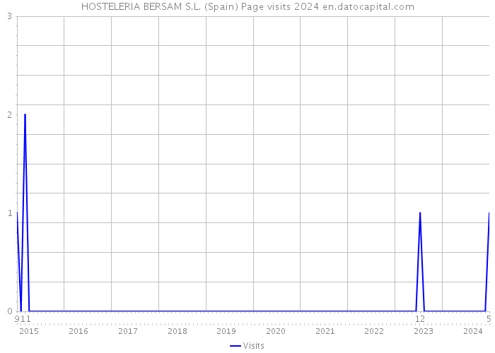 HOSTELERIA BERSAM S.L. (Spain) Page visits 2024 