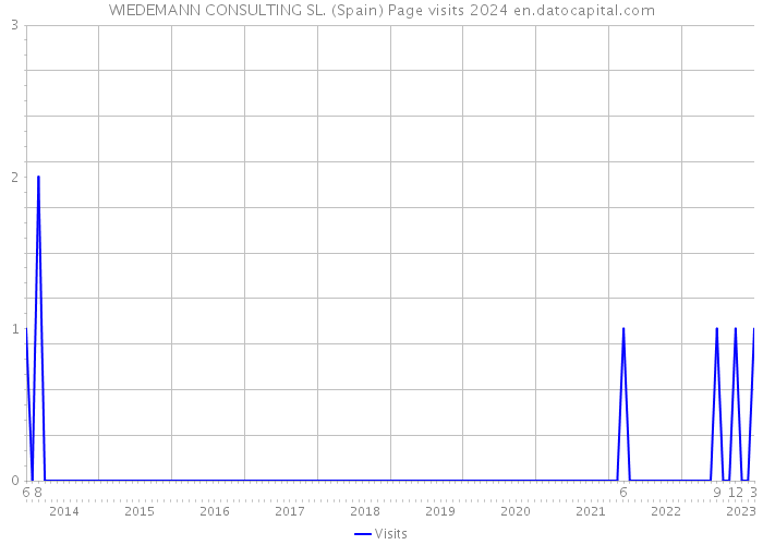 WIEDEMANN CONSULTING SL. (Spain) Page visits 2024 