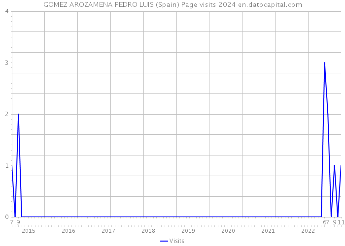 GOMEZ AROZAMENA PEDRO LUIS (Spain) Page visits 2024 