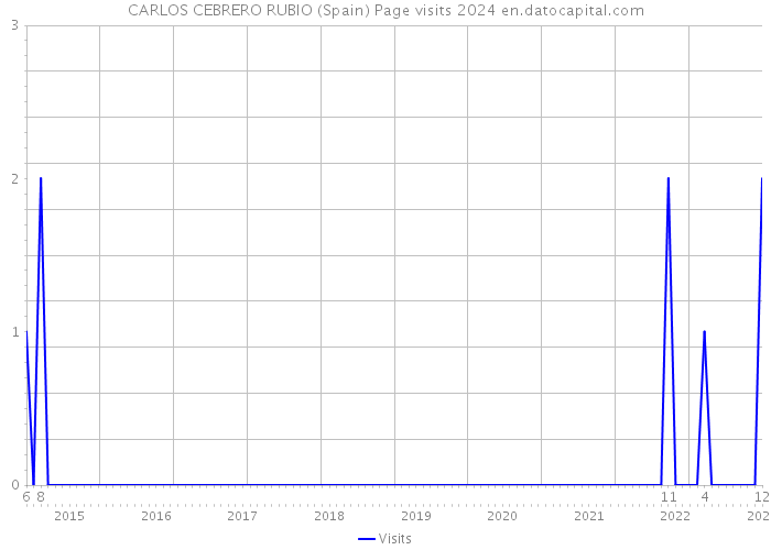 CARLOS CEBRERO RUBIO (Spain) Page visits 2024 