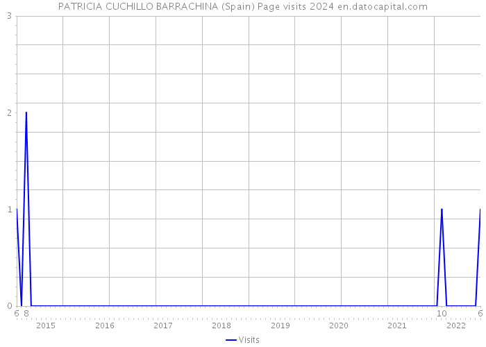 PATRICIA CUCHILLO BARRACHINA (Spain) Page visits 2024 