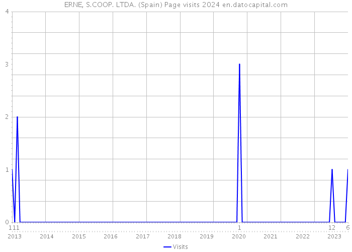 ERNE, S.COOP. LTDA. (Spain) Page visits 2024 