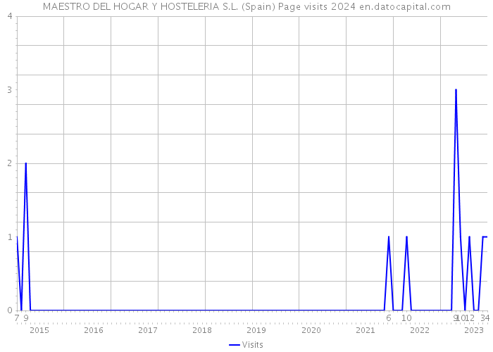 MAESTRO DEL HOGAR Y HOSTELERIA S.L. (Spain) Page visits 2024 