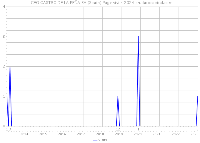 LICEO CASTRO DE LA PEÑA SA (Spain) Page visits 2024 