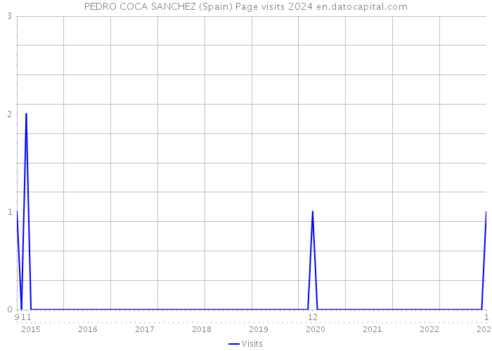 PEDRO COCA SANCHEZ (Spain) Page visits 2024 