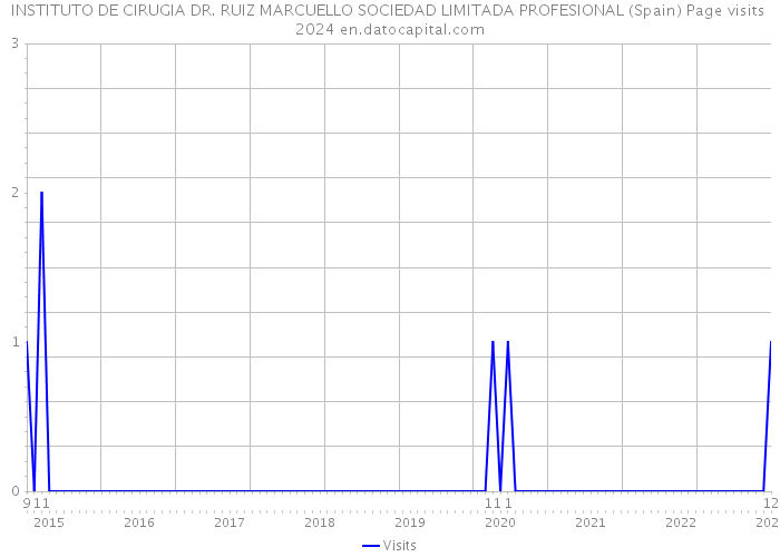 INSTITUTO DE CIRUGIA DR. RUIZ MARCUELLO SOCIEDAD LIMITADA PROFESIONAL (Spain) Page visits 2024 