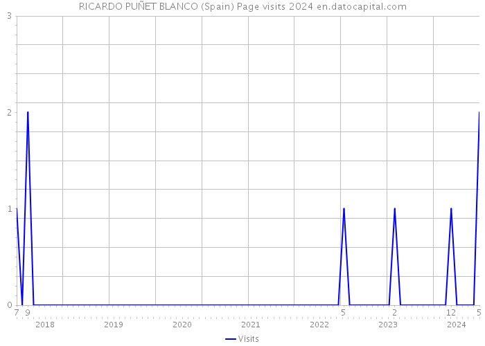 RICARDO PUÑET BLANCO (Spain) Page visits 2024 