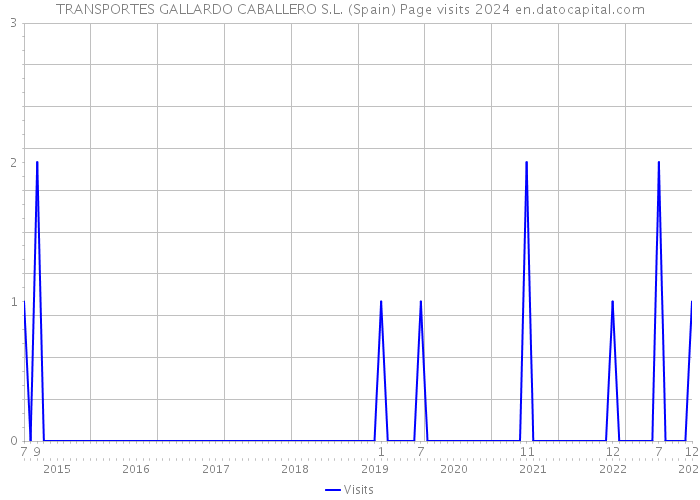 TRANSPORTES GALLARDO CABALLERO S.L. (Spain) Page visits 2024 