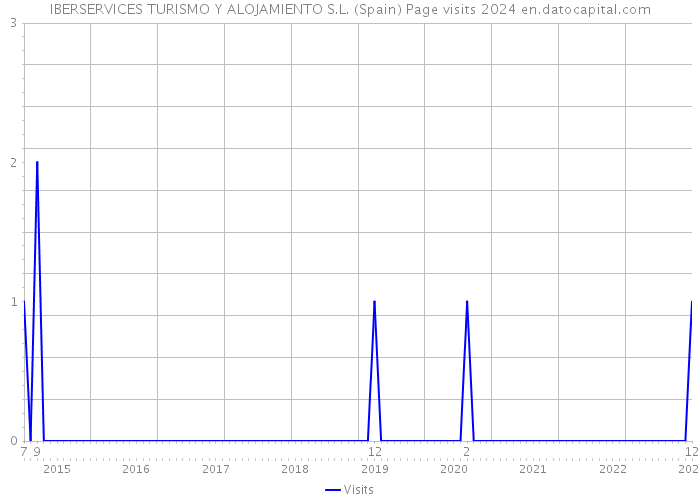 IBERSERVICES TURISMO Y ALOJAMIENTO S.L. (Spain) Page visits 2024 