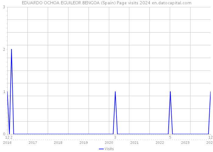 EDUARDO OCHOA EGUILEOR BENGOA (Spain) Page visits 2024 