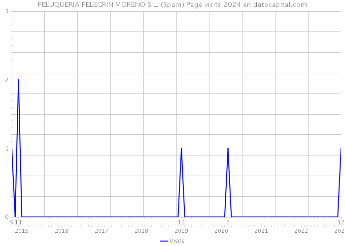 PELUQUERIA PELEGRIN MORENO S.L. (Spain) Page visits 2024 