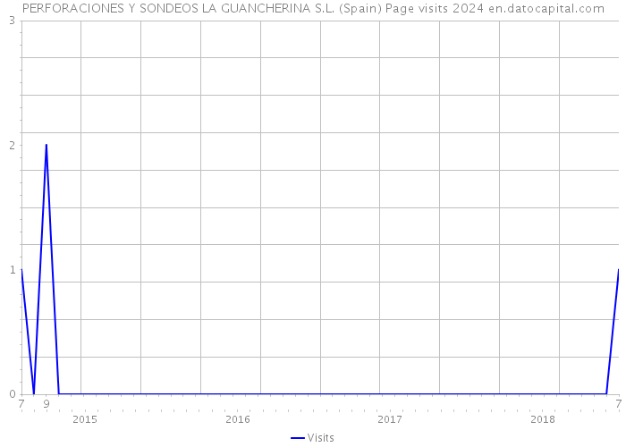 PERFORACIONES Y SONDEOS LA GUANCHERINA S.L. (Spain) Page visits 2024 