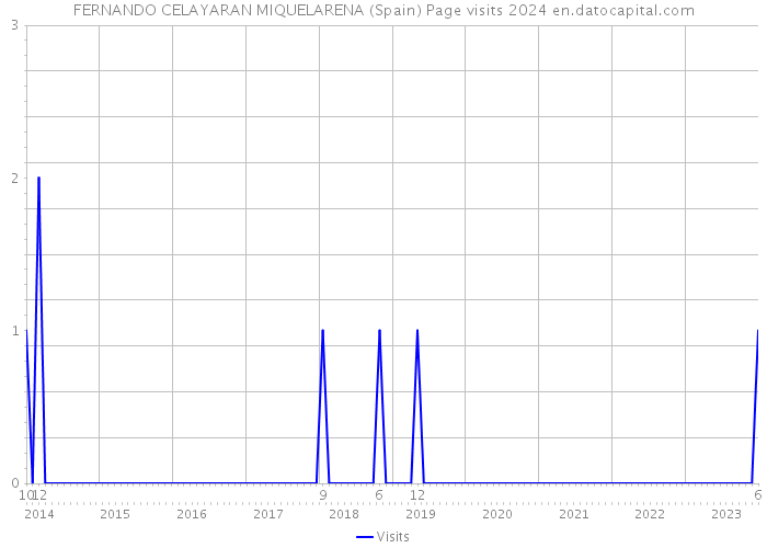 FERNANDO CELAYARAN MIQUELARENA (Spain) Page visits 2024 