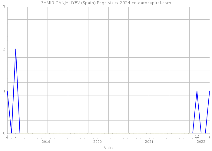 ZAMIR GANJALIYEV (Spain) Page visits 2024 
