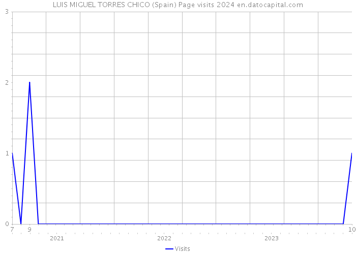 LUIS MIGUEL TORRES CHICO (Spain) Page visits 2024 
