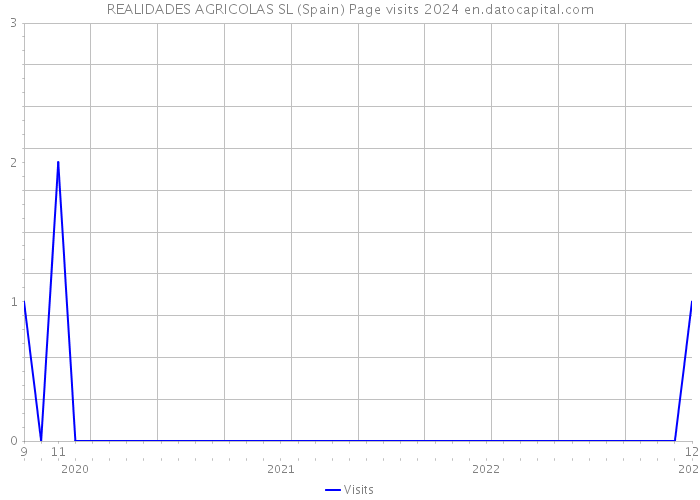 REALIDADES AGRICOLAS SL (Spain) Page visits 2024 