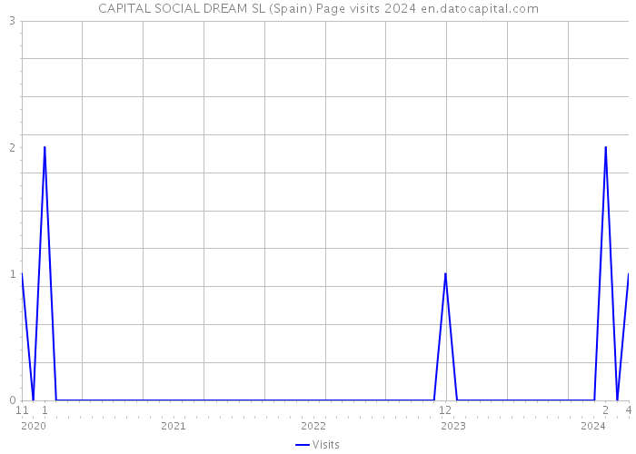 CAPITAL SOCIAL DREAM SL (Spain) Page visits 2024 