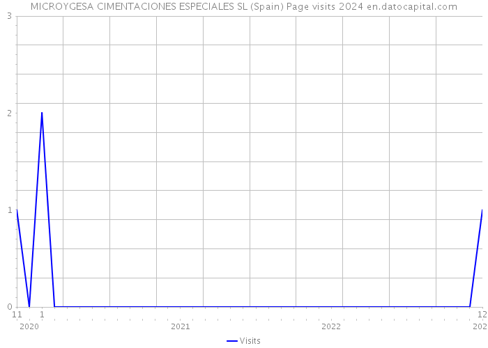 MICROYGESA CIMENTACIONES ESPECIALES SL (Spain) Page visits 2024 