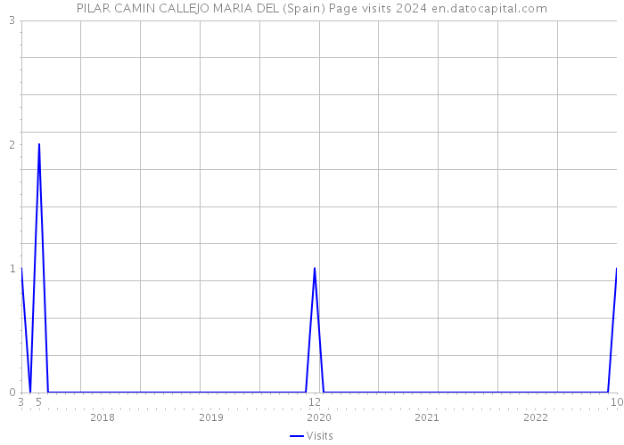 PILAR CAMIN CALLEJO MARIA DEL (Spain) Page visits 2024 