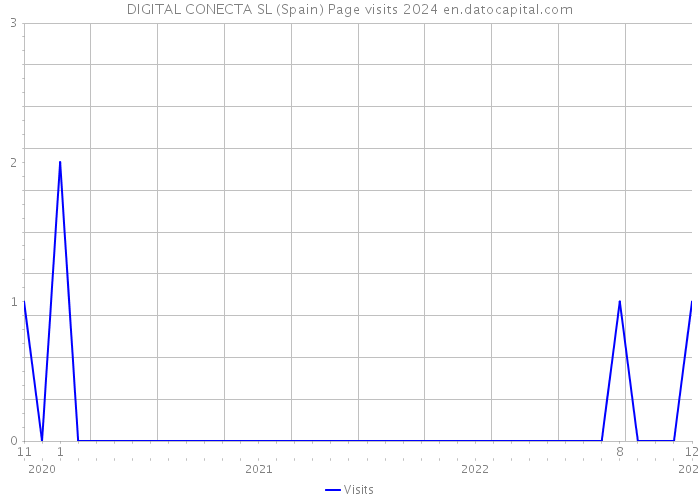 DIGITAL CONECTA SL (Spain) Page visits 2024 