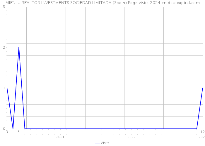 MIENLU REALTOR INVESTMENTS SOCIEDAD LIMITADA (Spain) Page visits 2024 